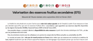 Valorisation des essences feuillus secondaires : Résumé de l’étude réalisée entre septembre 2022 et février 2023